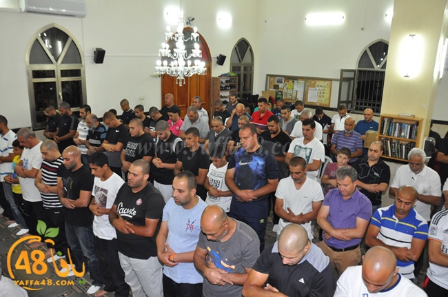 traw7 jabalayaua (4).JPG